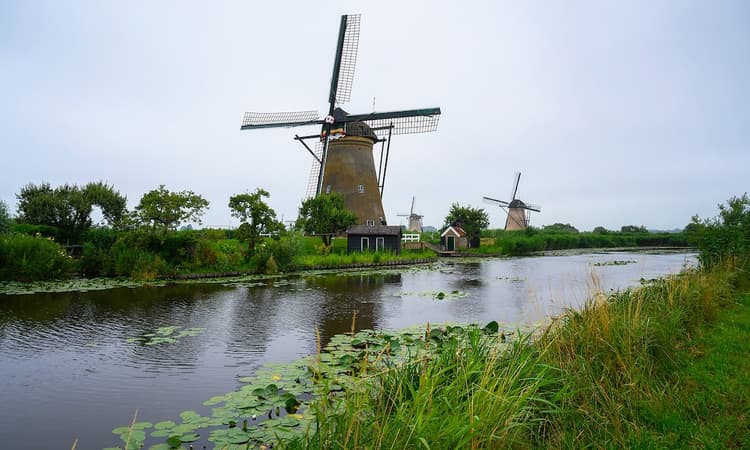 Dutchies and their interesting relationship with water