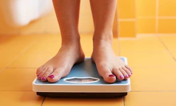 Dutch researchers suggest obesity might not affect life expectancy