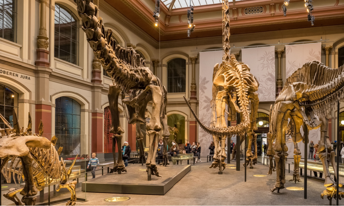 Berlin’s free museum visit scheme to continue until 2025