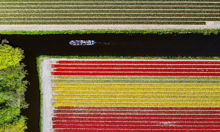 [Video] See the Netherlands in 100 seconds 