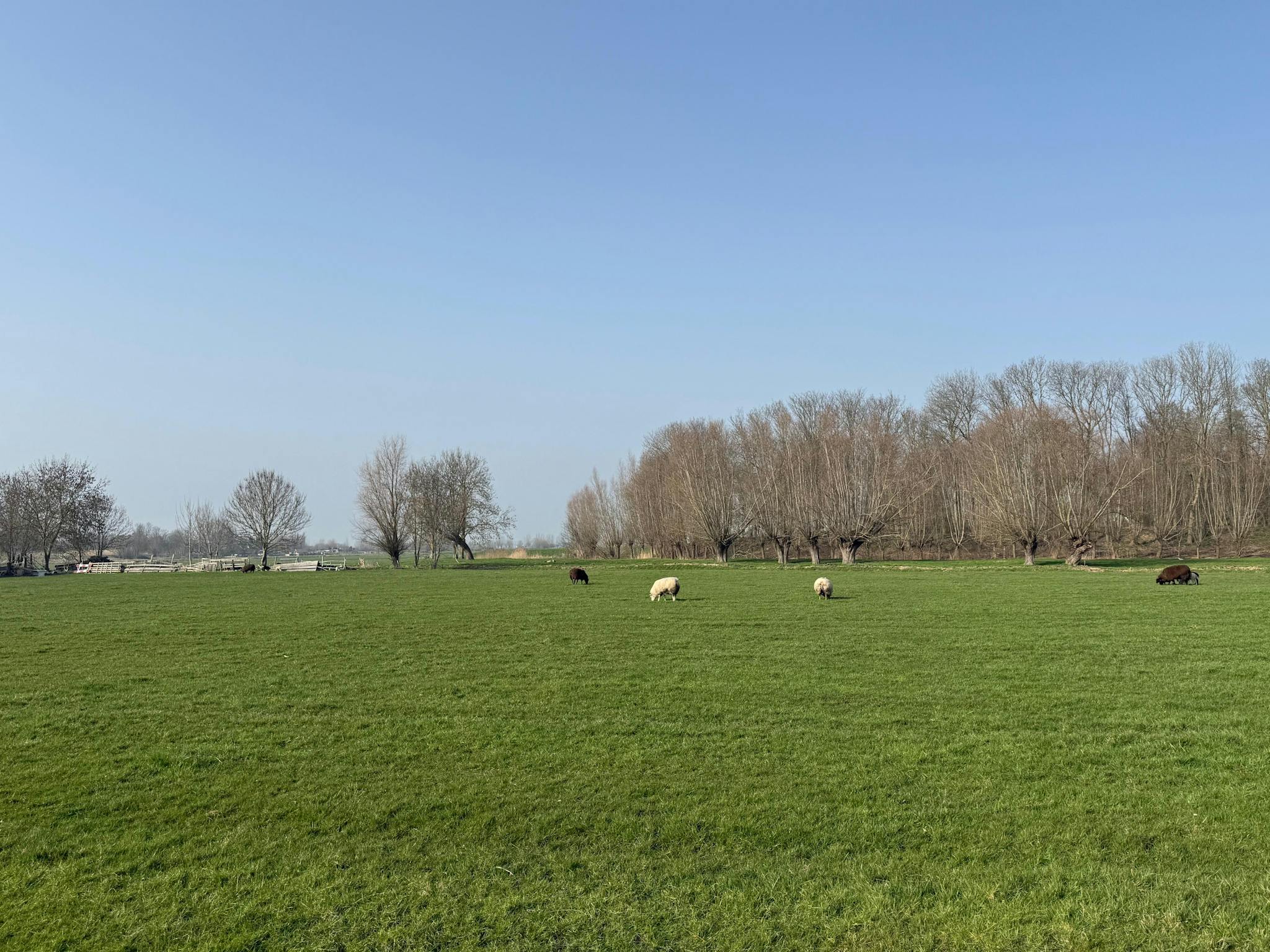 House, Winkeldijk, Abcoude