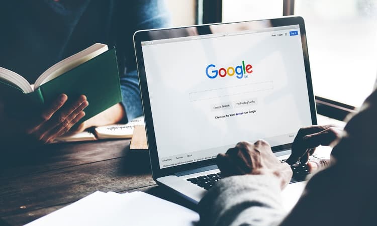 What did people in the Netherlands Google in 2022?