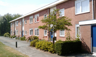 One quarter of social housing tenants violate new income limit