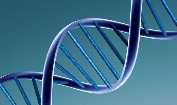 Interpol to use programme developed by Nijmegen scientists