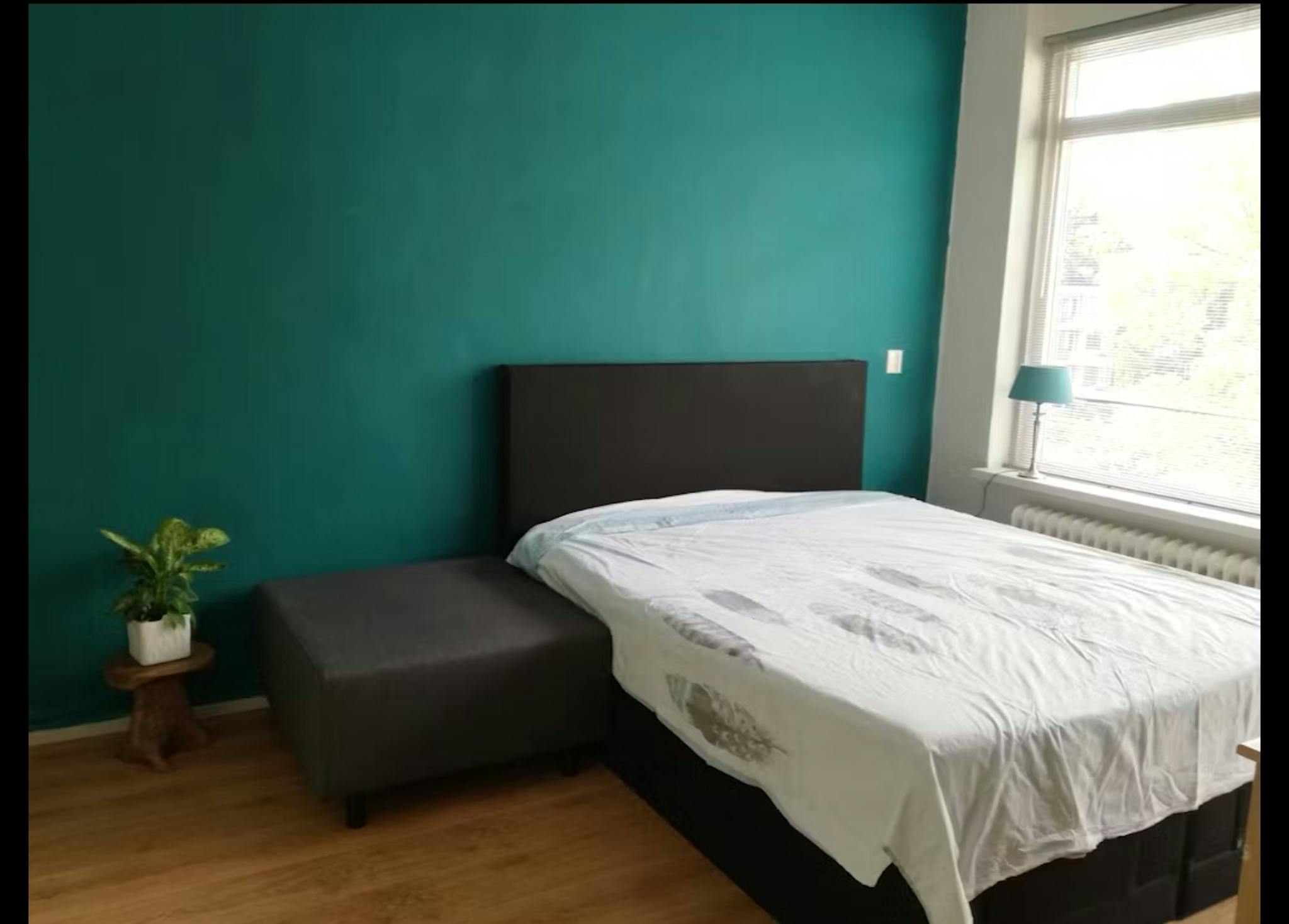 Apartment, De Lairesselaan, Rotterdam