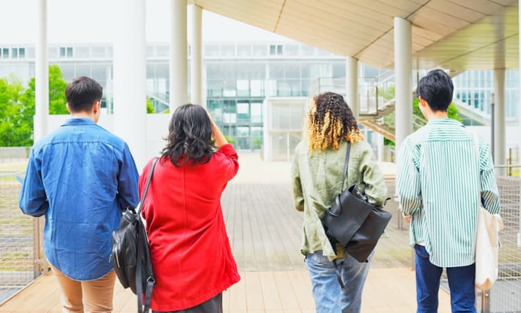 The Netherlands sees sharp decline in international student numbers