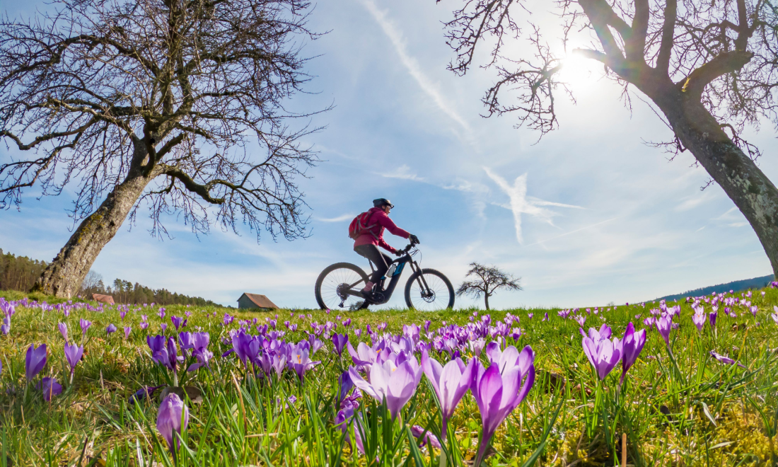 Highs of 22C expected in Germany this week