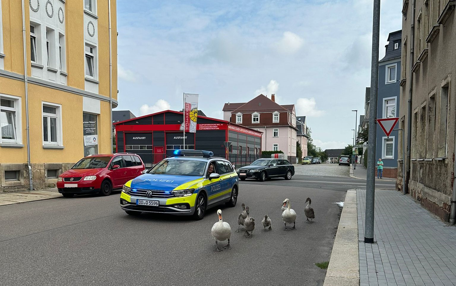 Saxony family of swans under police surveillance after local complaints
