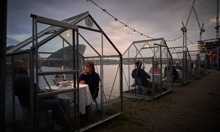 Amsterdam restaurant offers a unique and safe dining experience in greenhouses
