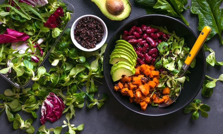 The best vegan food in Amsterdam