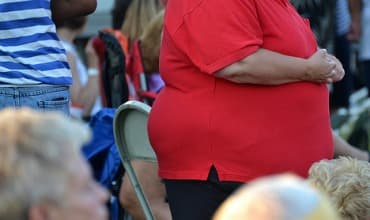 Dutch survey finds link between education and weight