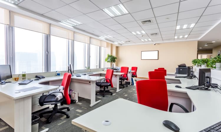 Offices in the Netherlands are becoming vacant as workers stay home