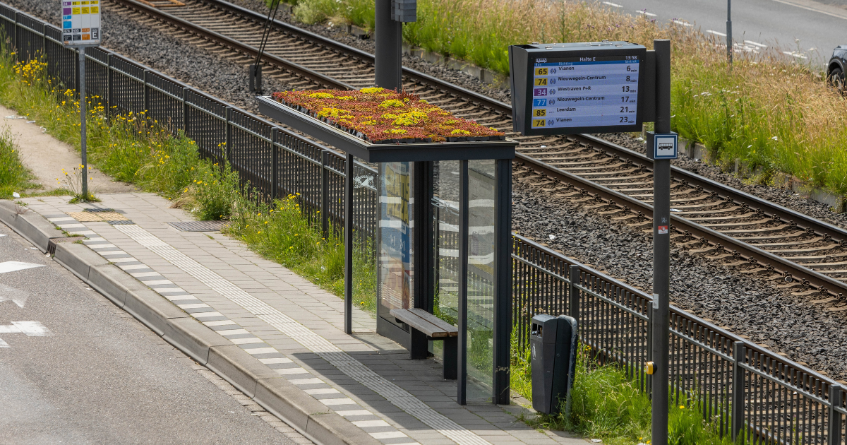 Bus Stop in the Netherlands