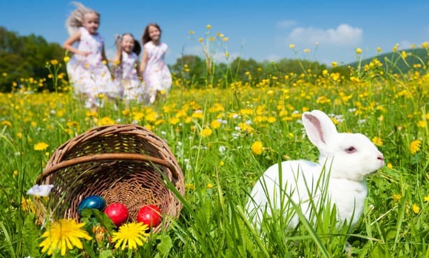 Easter - Dutch egg facts