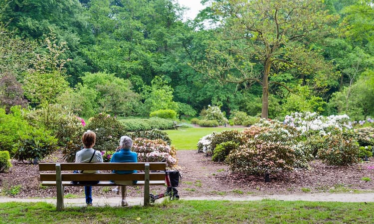 Positivity in the Netherlands remains high in spite of coronavirus