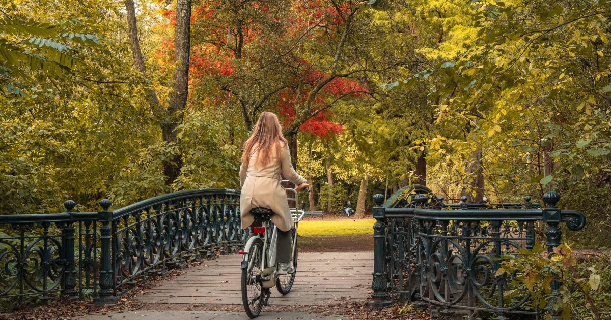 Autumn in the Netherlands