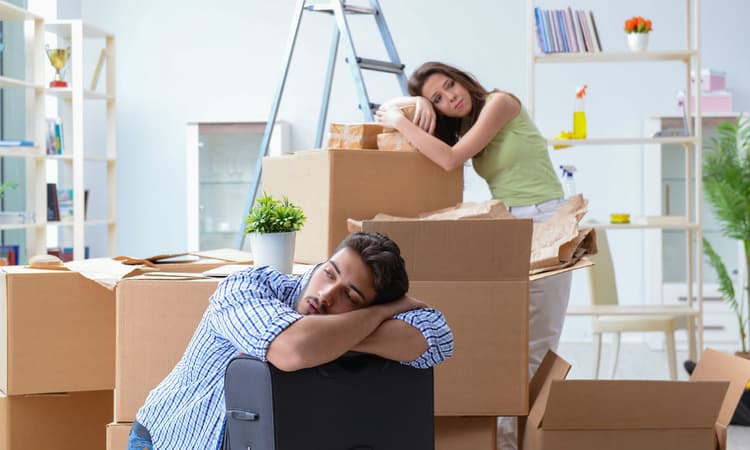 International students victim to unsavoury landlords in the Netherlands 
