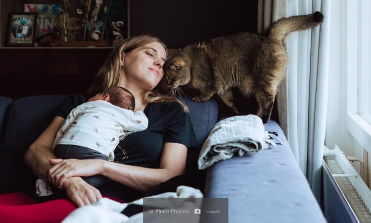 JPP Photography: Document your life in the Netherlands