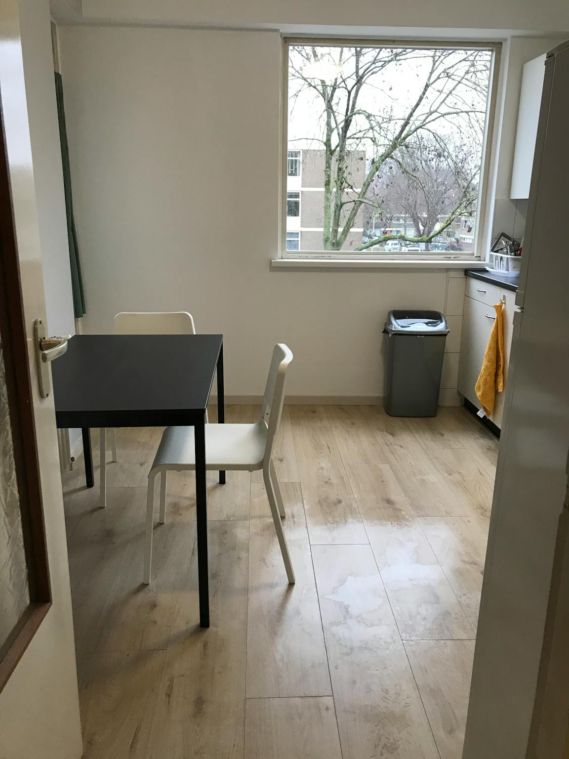Apartment, Adriaan Dortsmanstraat, Rotterdam