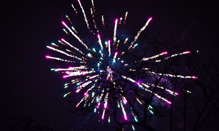 Amsterdam to ring in the new year without at-home fireworks