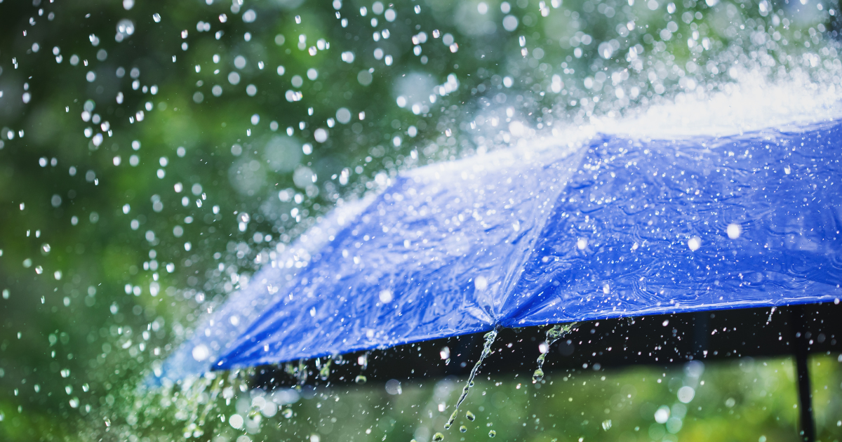 Bad Weather, Better Warnings Knmi Announces Changes for November