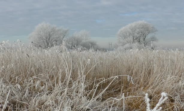 Say goodbye to winter in the Netherlands