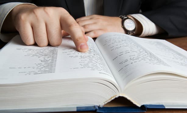 'Sjoemelsoftware' voted Dutch word of the year 2015