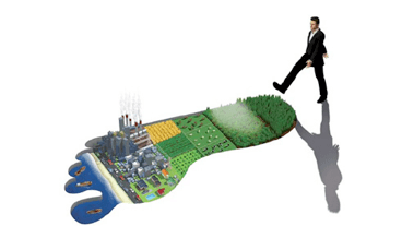 Ecological impact of Dutch lifestyle high & rising