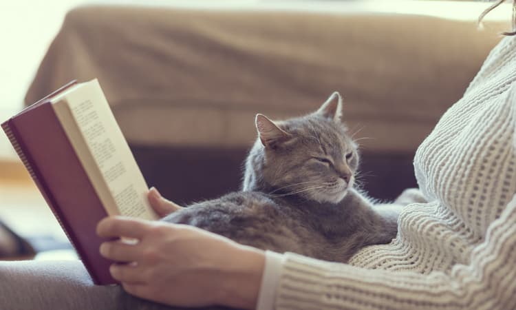 Dutch library introduces new delivery service