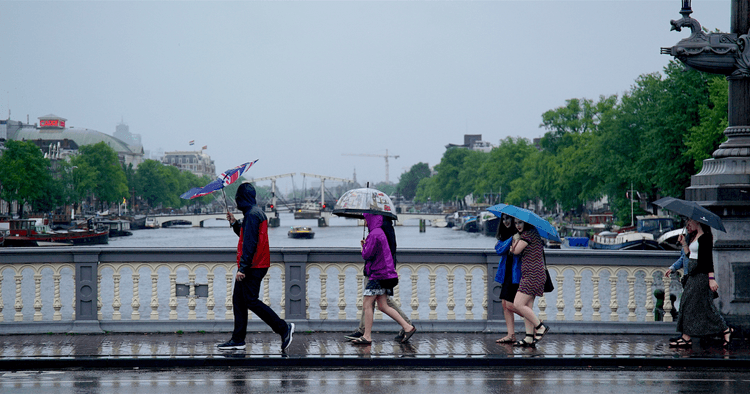 Driest Dutch spring in nearly 50 years to give way to rain showers in June