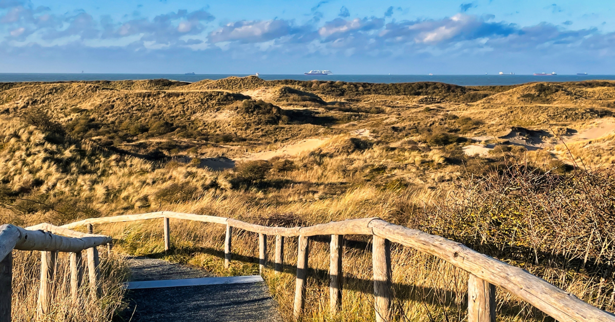Coastal dunes in South Holland officially named Dutch national park