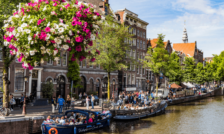 Summer weather in the Netherlands warmer and sunnier than normal this year