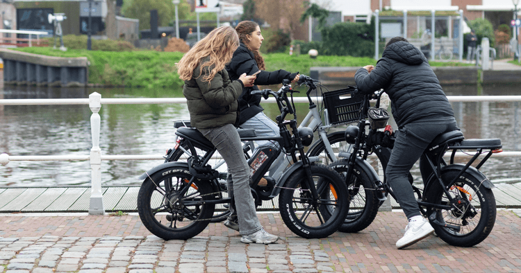 More than 20 Dutch municipalities call for national fatbike regulations