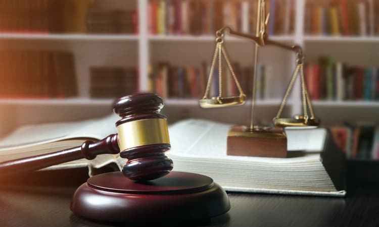 Dutch court rules in favour in adult’s case for a “gender-neutral” birth certificate
