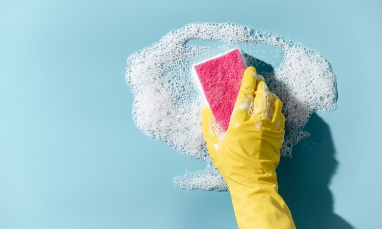 Horizon, your all-round cleaning expert