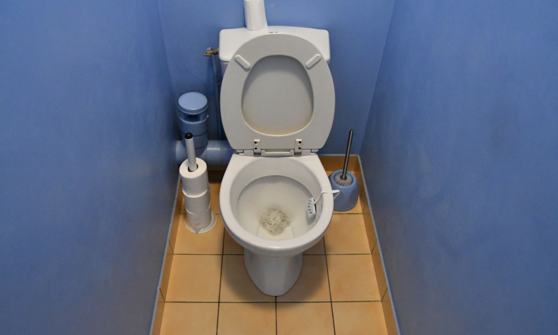 Demystifying the world of the German toilet