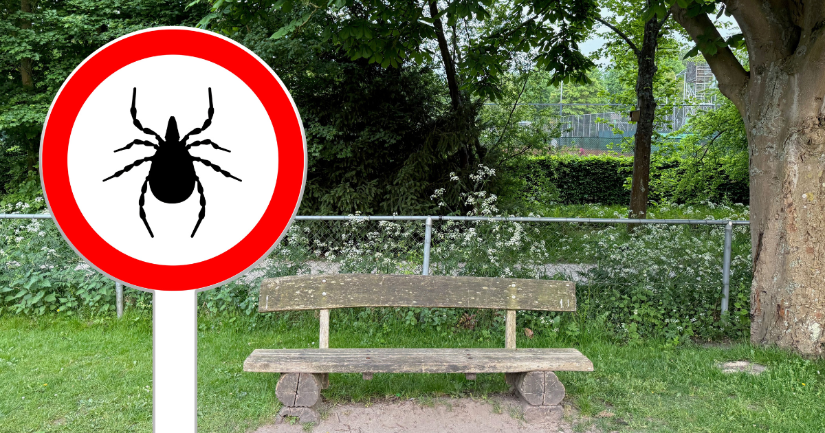 Early surge in tick bites prompts warnings in the Netherlands