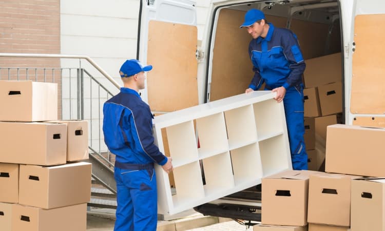 BearStorm Moving Service: Your reliable partner for relocation