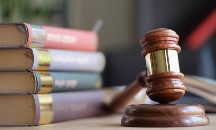 Dutch law in 2023: This is what’s changing in the Netherlands next year