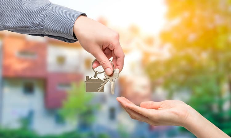 Swapping houses in the Netherlands is now as easy as swiping right on an app