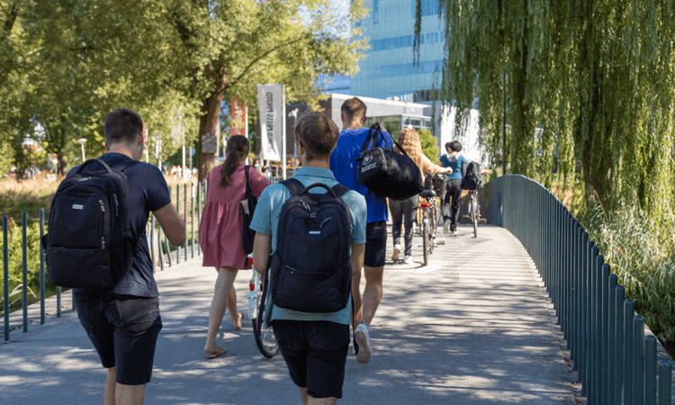 Internationals graduating from Dutch universities earn more than local peers