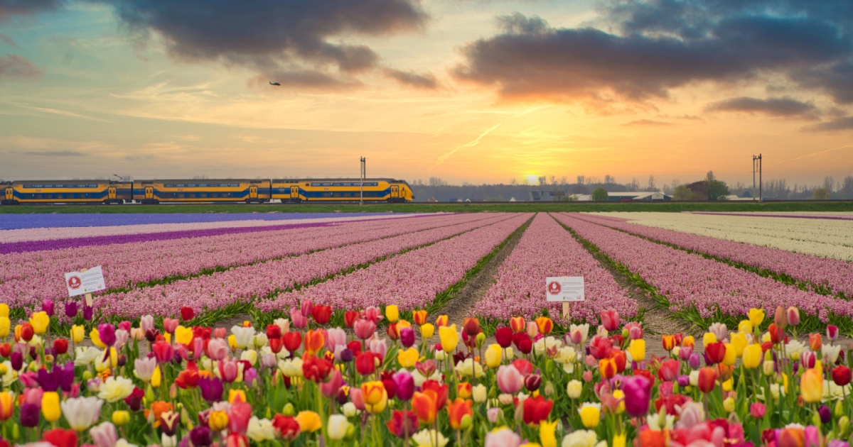 The gentle feel of the Dutch seasons
