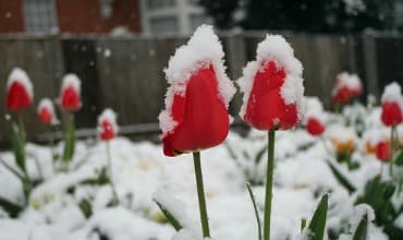 March could be the coldest in 25 years