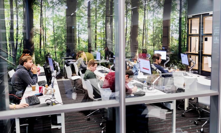 5 reasons to obtain a degree in Business Administration