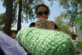 Like knitting? Go to the Zoo!