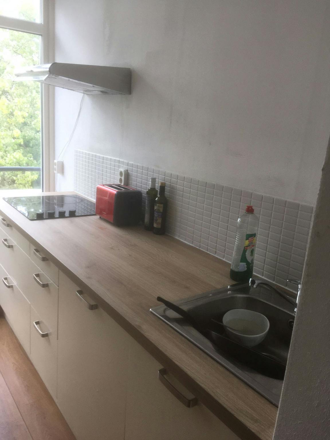 Apartment, De Lairesselaan, Rotterdam