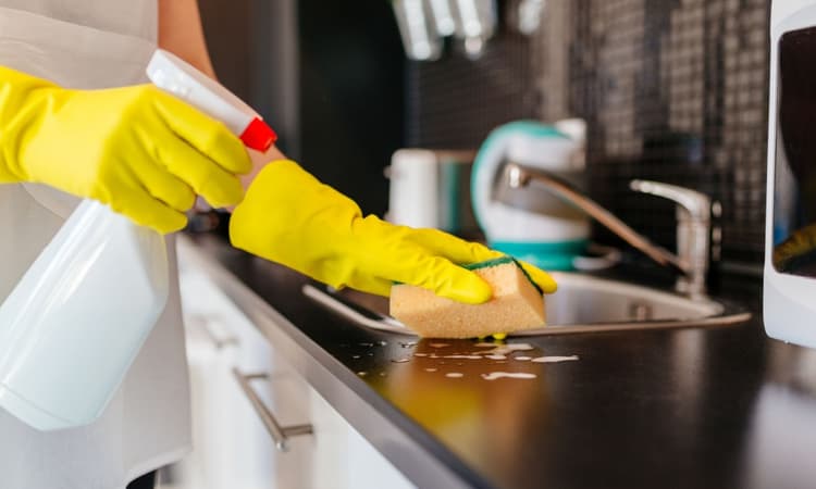 Easy Clean: Amsterdam and the Hague's premier cleaning service