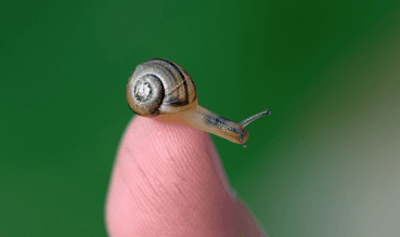 How slow do you have to go?