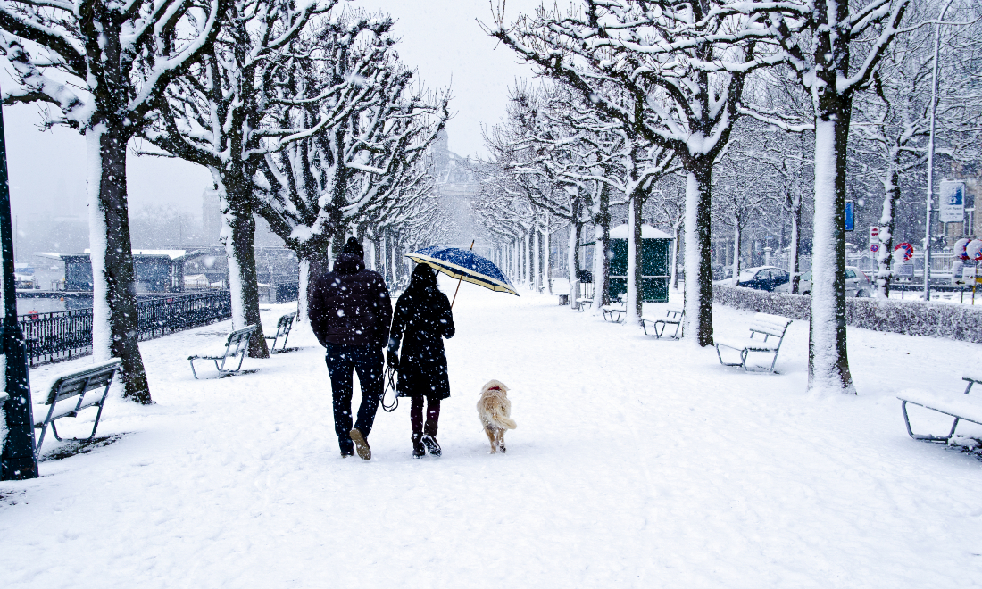December 2024: 12 important changes expats in Switzerland need to know