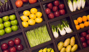 Sustainable foods growing in popularity in the Netherlands